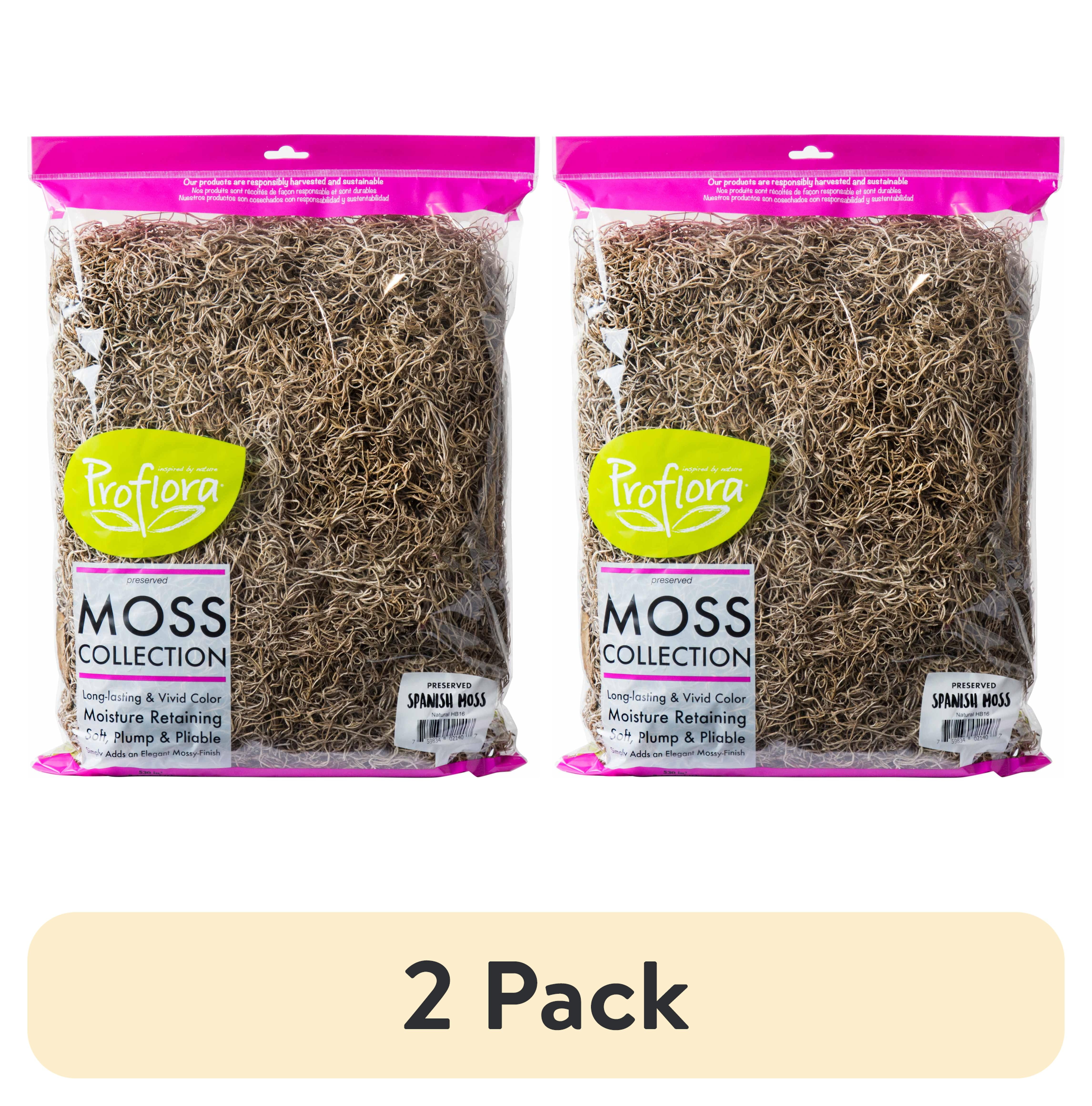 (2 pack) Proflora Preserved Green Spanish Moss, Natural 530 CU in - Floral Arranging Supplies