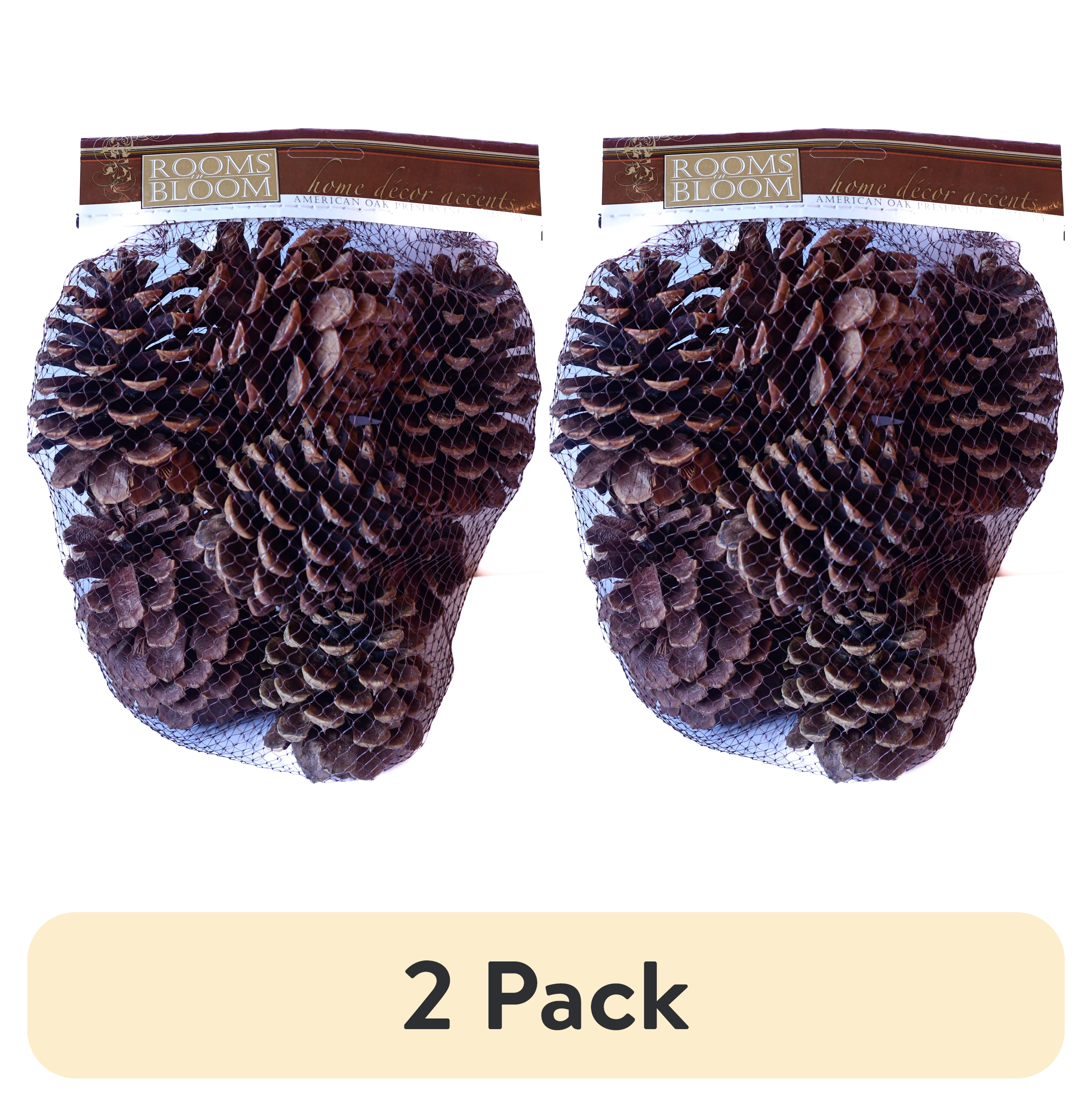 (2 pack) Rooms in Bloom Natural Brown Cinnamon Scented Pine Cones Potpourri