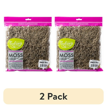 (2 pack) Spanish Natural Moss, 1 Each