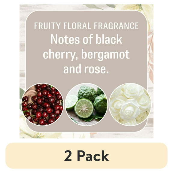 (2 pack) Together - Fresh Scents 2 Pack scented sachet - Small Places Collection