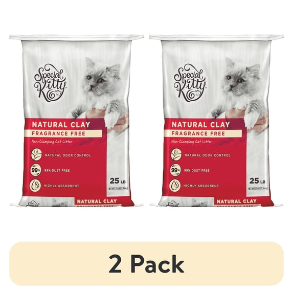 (2 pack) Special Kitty Non-Clumping Clay Cat Litter, Unscented, 25 lb Bag