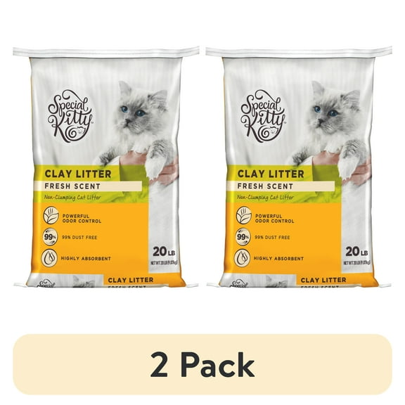 (2 pack) Special Kitty Fresh Scent Non-Clumping Clay Cat Litter, 20 lb