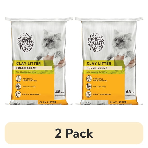 (2 pack) Special Kitty Non-Clumping Clay Cat Litter, Fresh Scent, 48 lb Bag