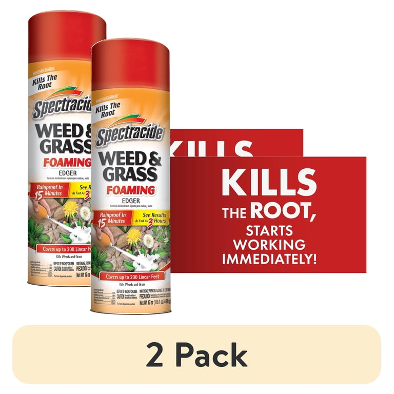 How to Stop Weeds Coming Back After Spraying: Proven Tips