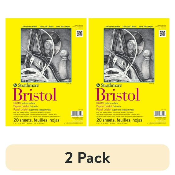 (2 pack) Strathmore Bristol Paper Pad, 300 Series, Regular, 9" x 12", 20 Sheets
