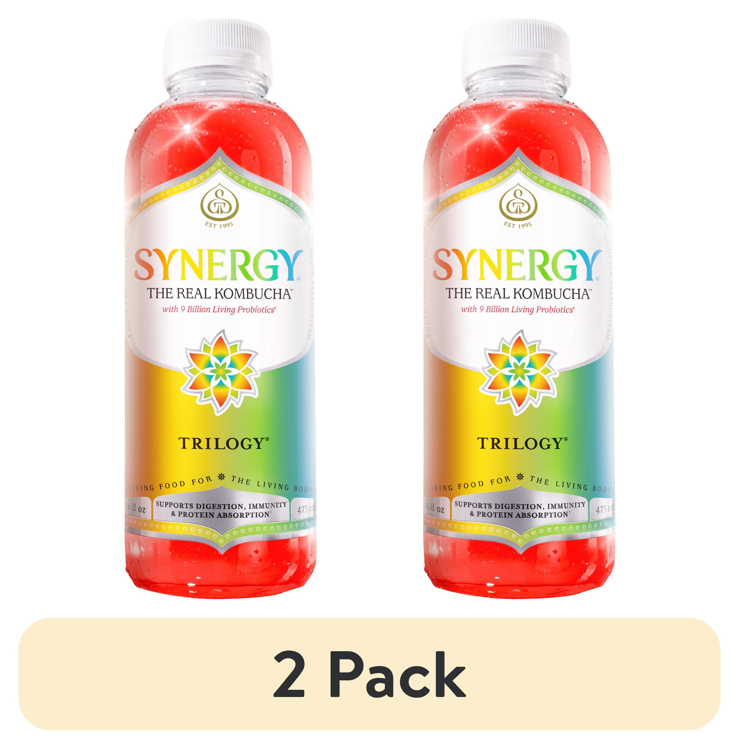 GT.S Synergy The Real Kombucha Trilogy 16 fl oz with Ginseng