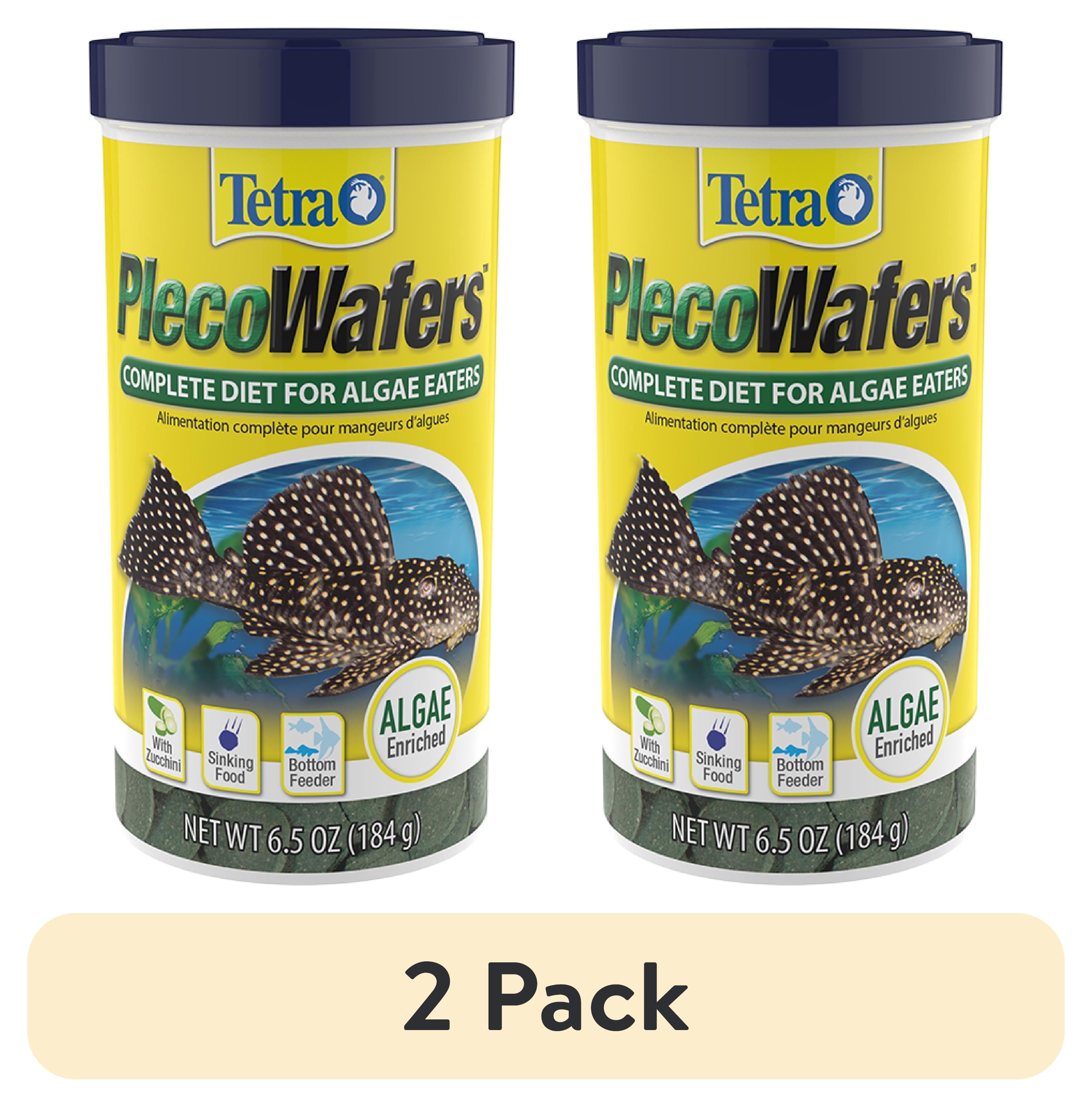 Pleco diet variety algae wafers zucchini bloodworms