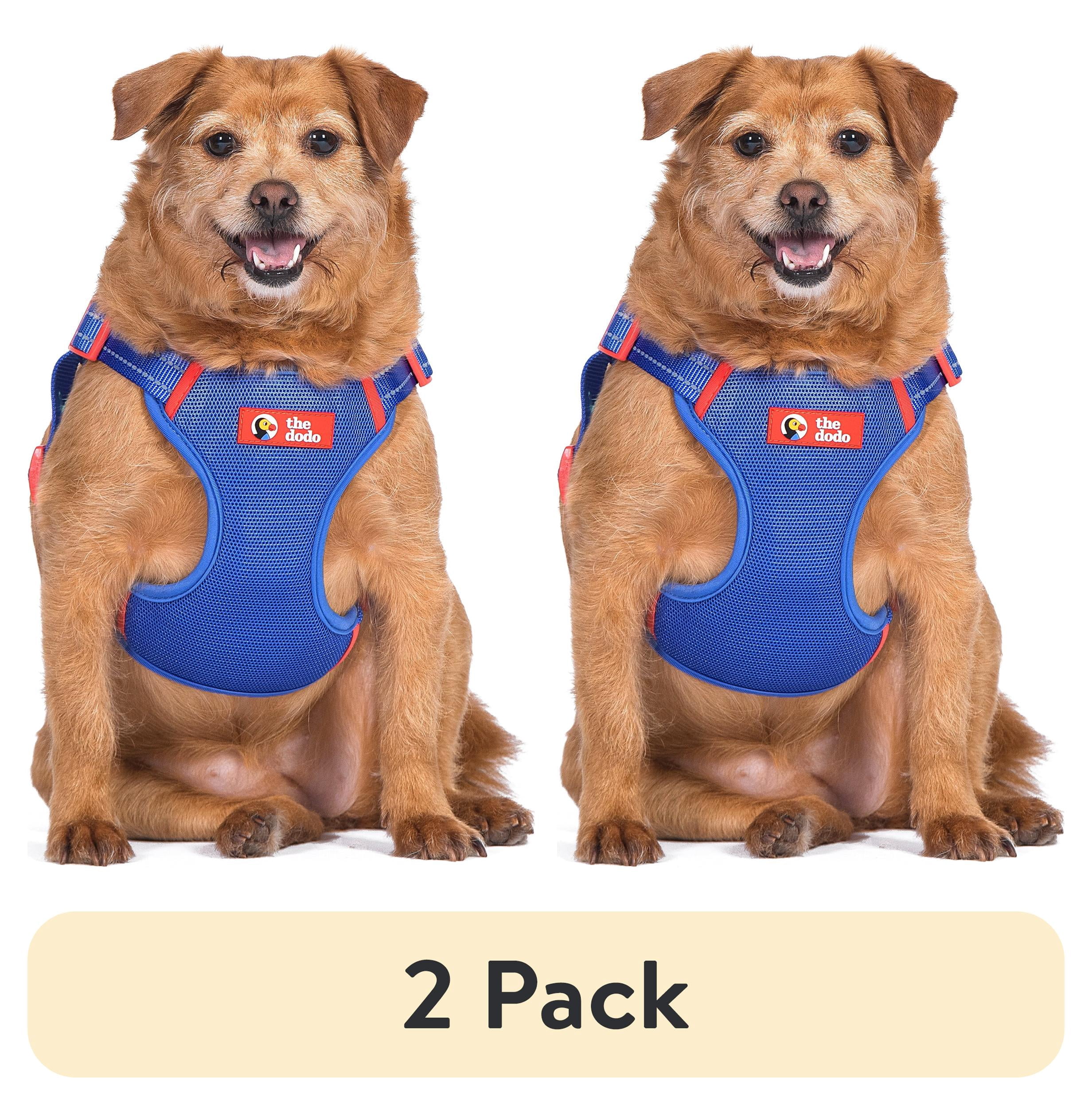 (2 pack) The Dodo: Adjustable Blue Mesh Harness - Small