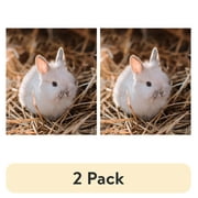 (2 pack) Tiny Friends Farm Hazel Hamster Food 2lb