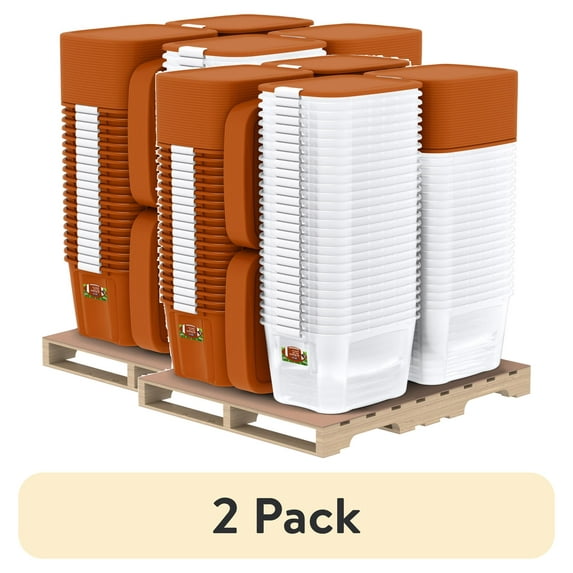 (2 pack) University of Texas Latching 20 Gallon Tote