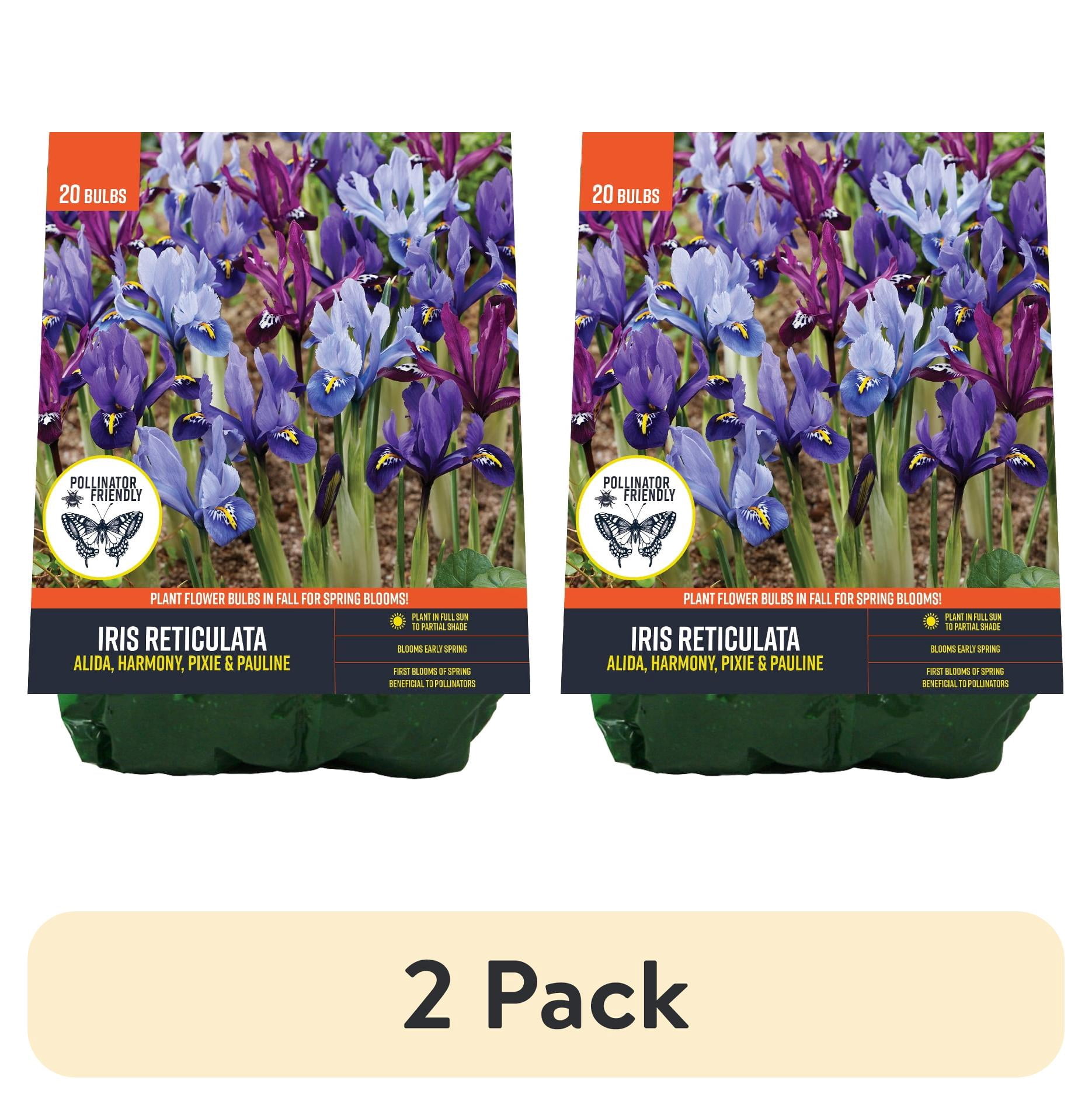 (2 pack) Van Zyverden Pollinator Blend #6 (Set of 20 Dormant Bulbs ...