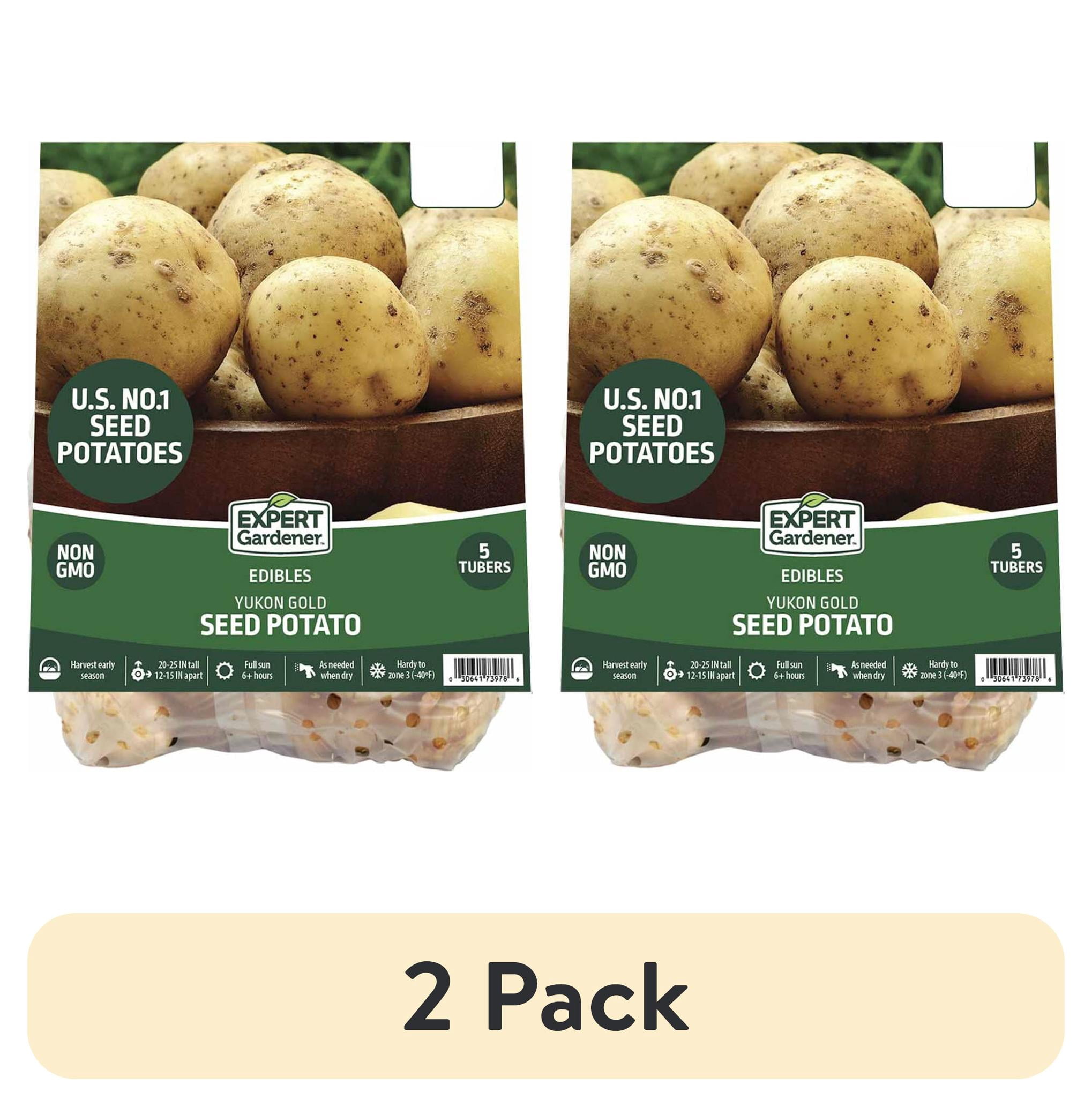 2 pack) Expert Gardener Seed Potato Yukon Gold (Set of 5 Dormant