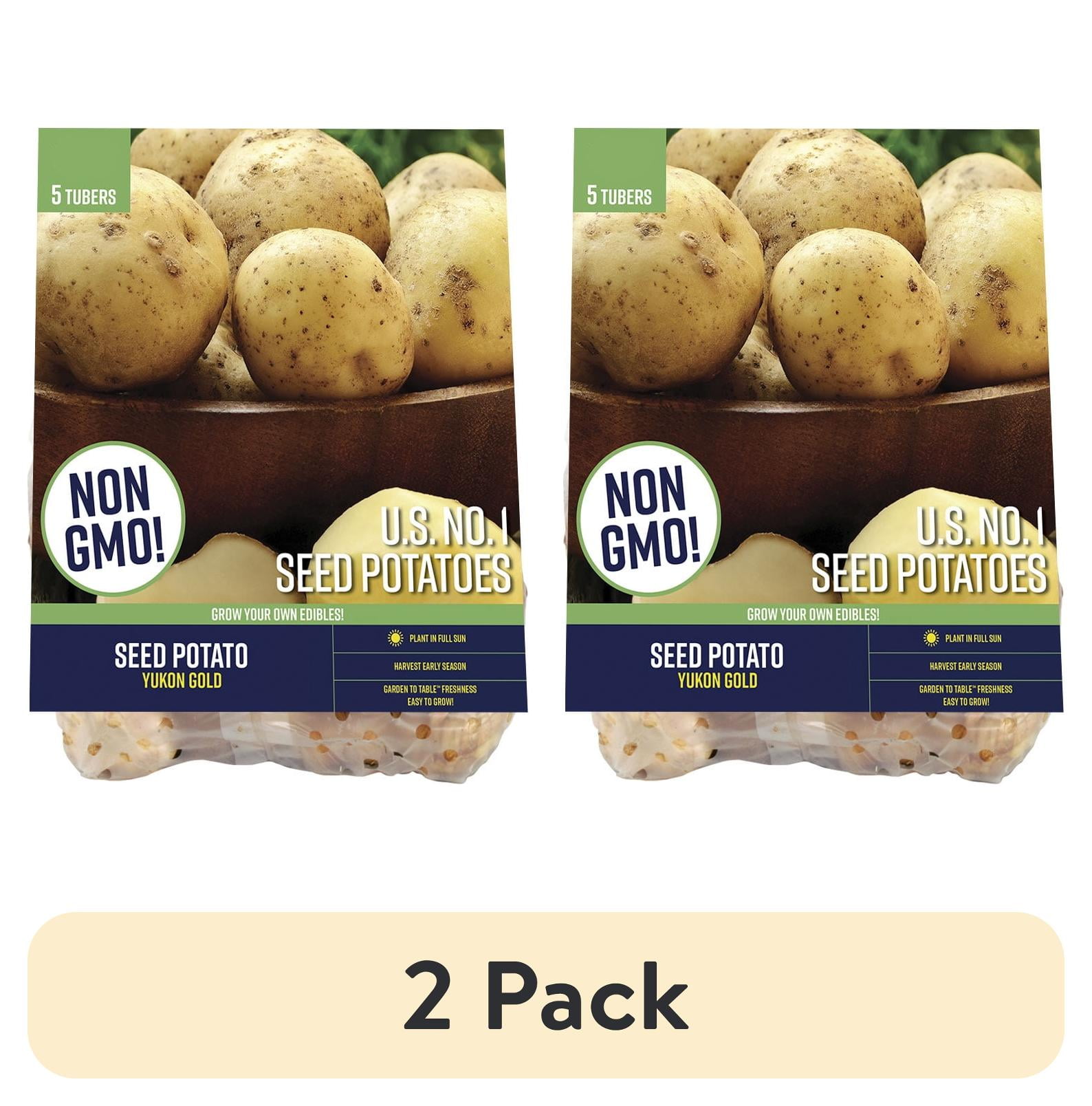 Expert Gardener Seed Potato Yukon Gold 5 Dormant Tubers Full