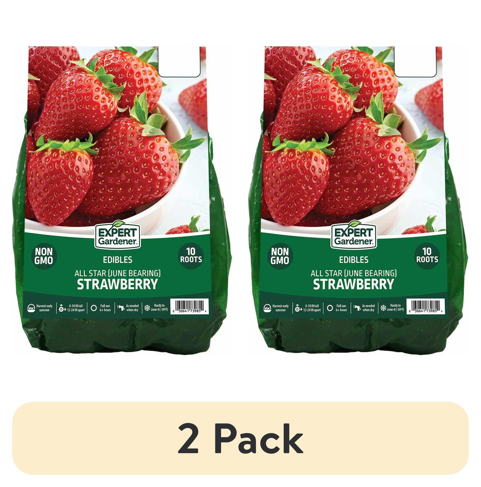 Expert Gardener Strawberry All Star Set of 10 Bare Roots for Full