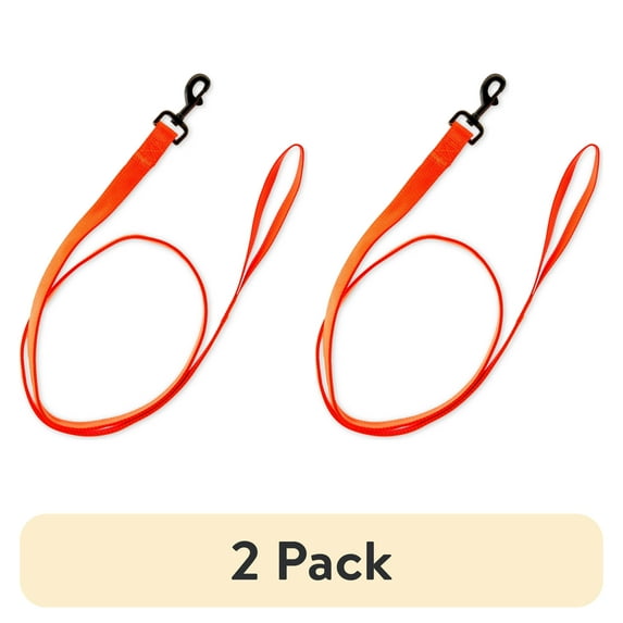 (2 pack) Vibrant Life 5' Nylon Metal Standard Dog Leash, Hunter Orange, L