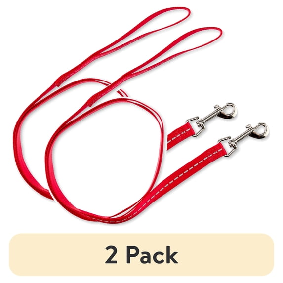 (2 pack) Vibrant Life 5' Reflective Polyester Dog Leash, Red, Medium