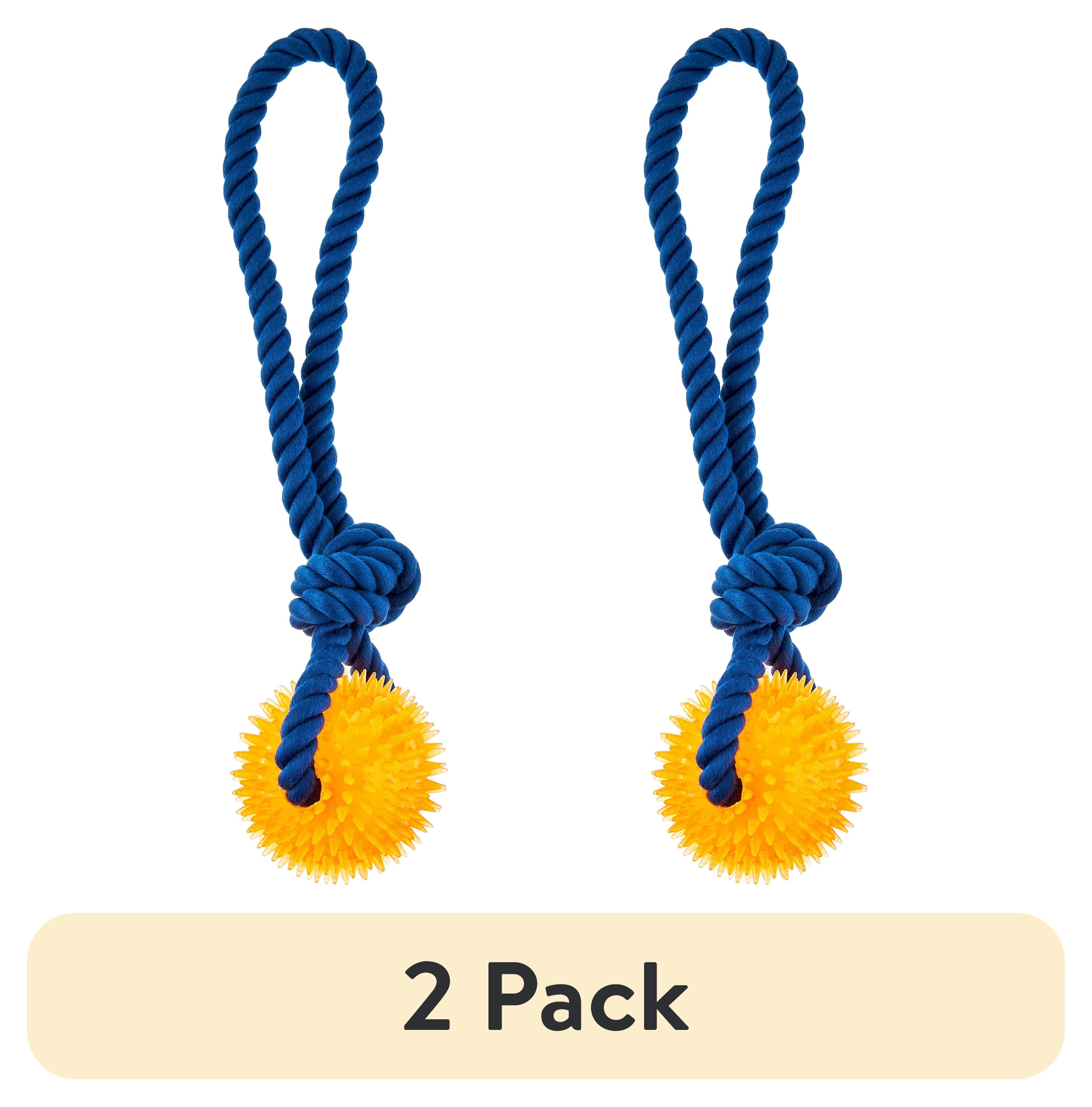 (2 pack) Vibrant Life Playful Buddy Rope w TPR Spikey Ball Dog Tug Toy