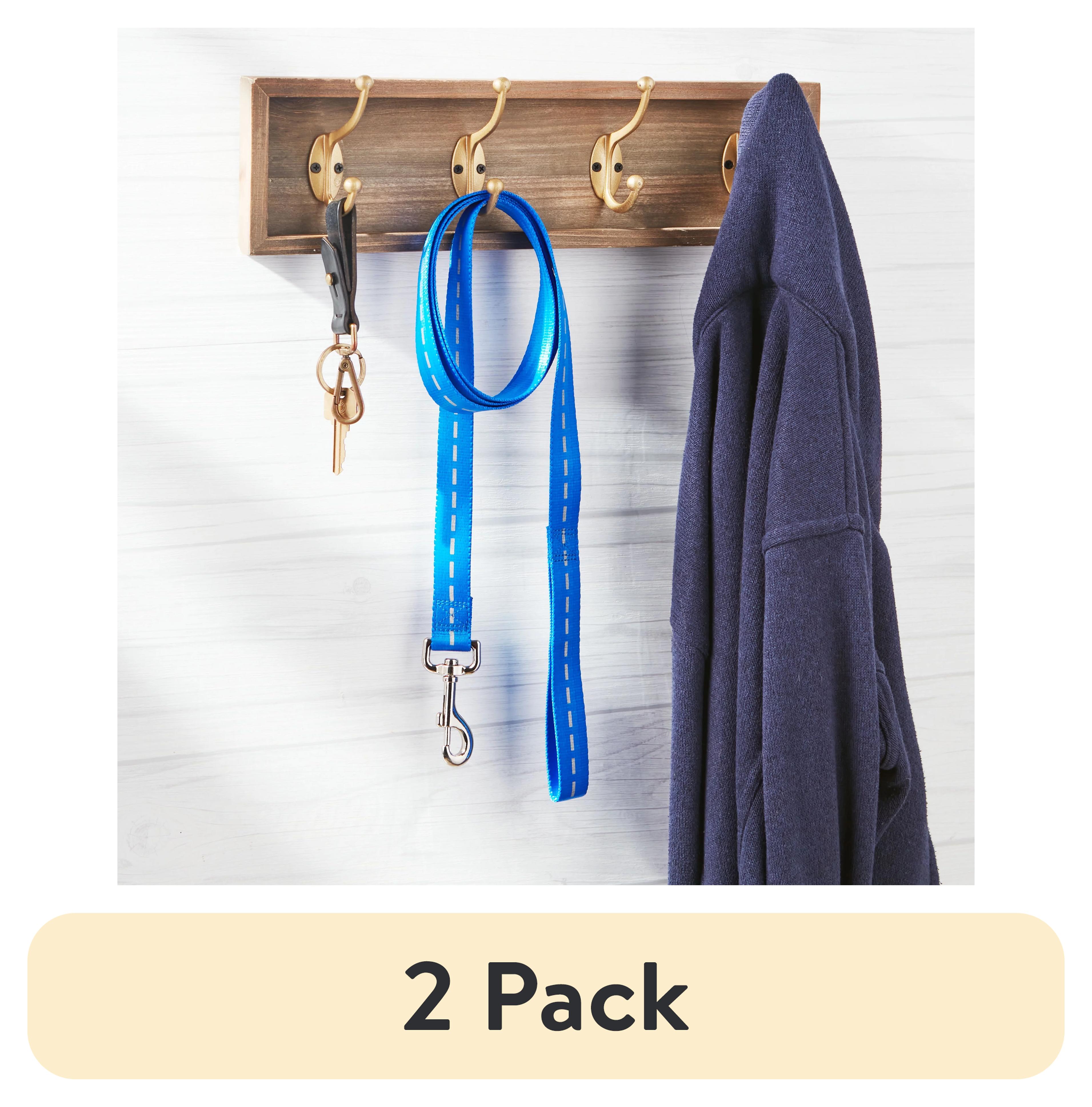 (2 pack) Vibrant Life Reflective Polyester Dog Leash, Blue, Large, 6 feet