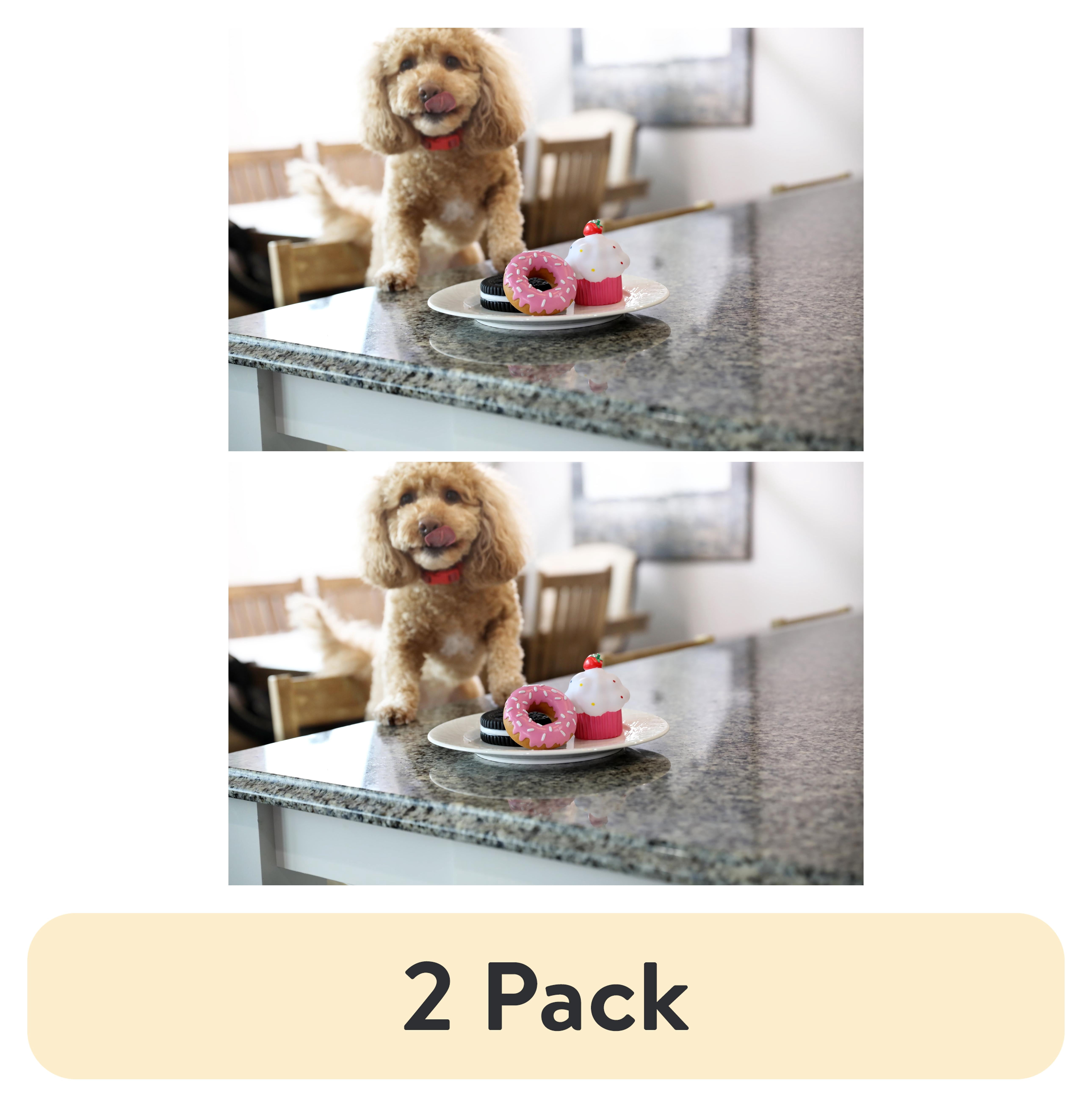 (2 pack) Vibrant Life Squeaky Pastry Rubber Chew Dog Toy, Assorted Designs