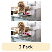 (2 pack) Vibrant Life Squeaky Pastry Rubber Chew Dog Toy, Assorted Designs