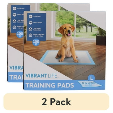 (2 pack) Vibrant Life Training Pads, Large, 22 in x 22 in, 100 Count