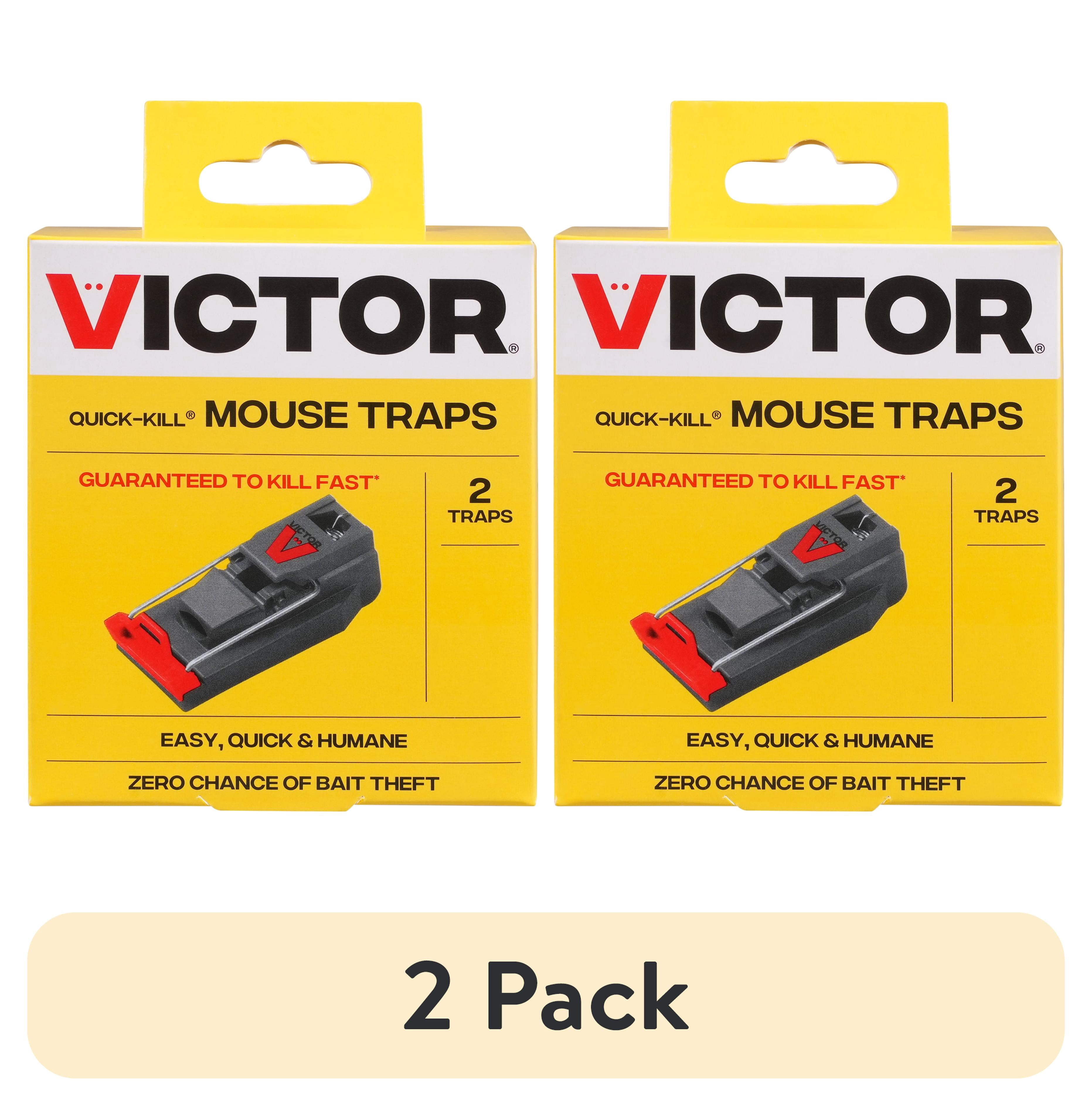 Victor, Quick-Kill Mouse Trap, 2pk, Easy Set Snap Traps - Walmart.com