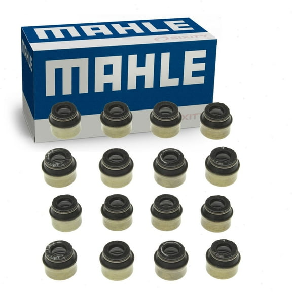 2 pc MAHLE Intake & Exhaust Engine Valve Stem Oil Seal Sets compatible with Volkswagen Beetle Bora CC Eos Golf GTI Jetta Passat Tiguan 1.8L 2.0L L4 2006-2015