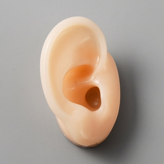 2 pc Silicone Ear Flexible Model Body Part Displays Jewelry Display Teaching Tools Blanched Almond 5.9x3.8x3.1cm