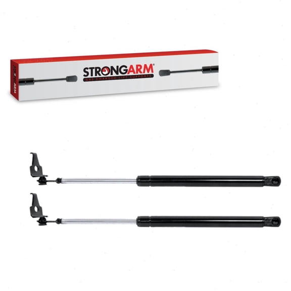 2 pc Strong Arm 4547 Hood Lift Supports for 5344039155 901653 SG129032 SG329017 Body