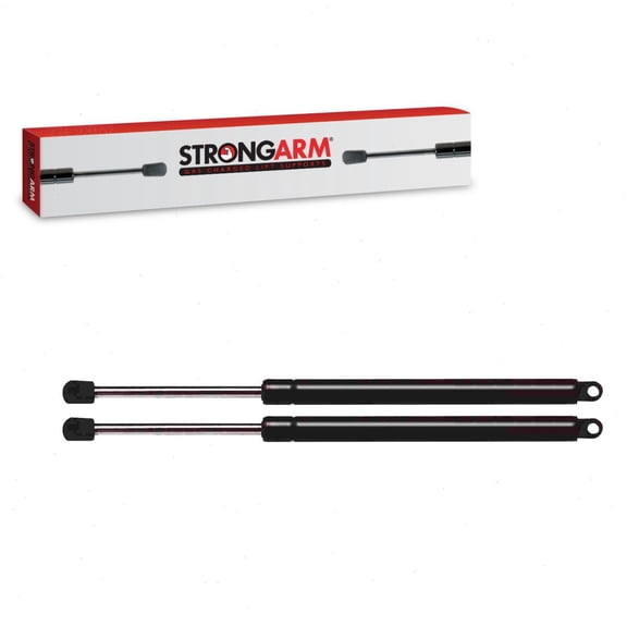2 pc Strong Arm 6698 Trunk Lid Lift Supports for 1299800664 129980066464 SG403018 Body Compartment