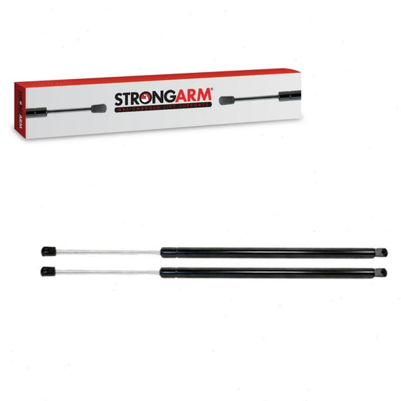 2 pc Strong Arm Liftgate Lift Supports compatible with Dodge Grand Caravan 2008-2016