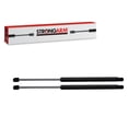 thumbnail image 1 of 2 pc Strong Arm Liftgate Lift Supports compatible with Ford Expedition 2003-2016, 1 of 7