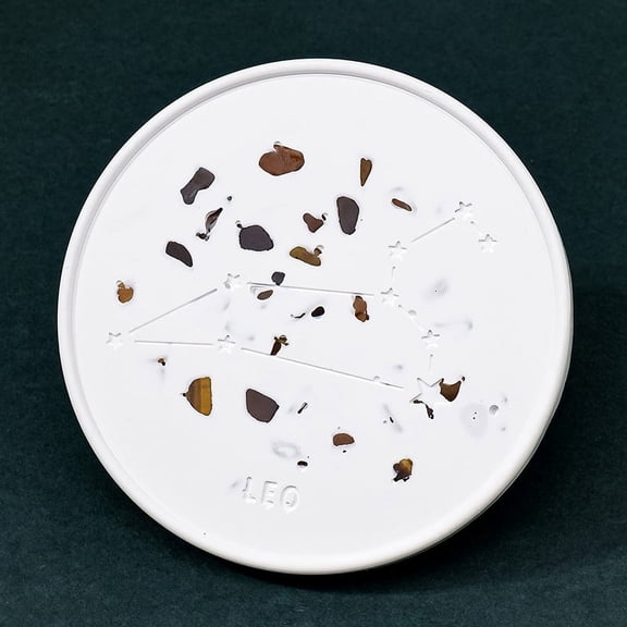 2 pc Twelve Constellations Plaster Coaster with Tiger Eye Clips Flat Round Leo 100mm