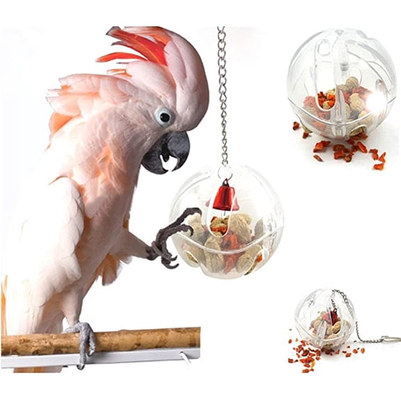 2 pcs Parrot Creative Foraging Systems Foraging Ball- Bird Intelligence Growth Cage Acrylic Box Toys