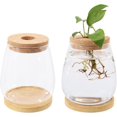 thumbnail image 1 of 2 pcs Plant Propagation Jars Glass Planter Vase Desktop Plant Terrarium with Wooden Lid and Bamboo Stand for Hydroponic Plants Succulents Cut Flowers Garden Decor Clear 4.45x 5.91inch, 1 of 7