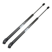 Ford Explorer Rear Window Struts