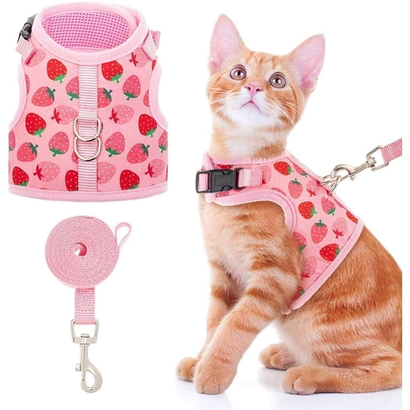 2-piece Cat Harness with Leash Escape Proof set - Fashionable Mesh Cat Dog Walking Harness Leads, Adjustable for Kitties Puppies Small Animals