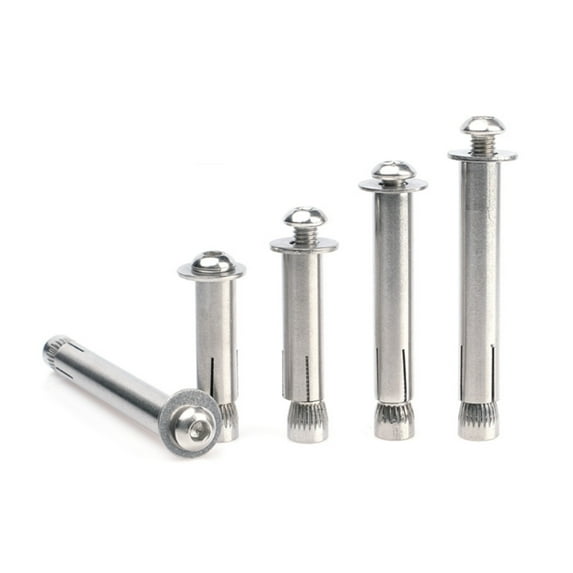 (2 pieces ) 304 Stainless Steel Hexagon Socket Pan Head Expansion Screw M6x60mm(10mm punching).
