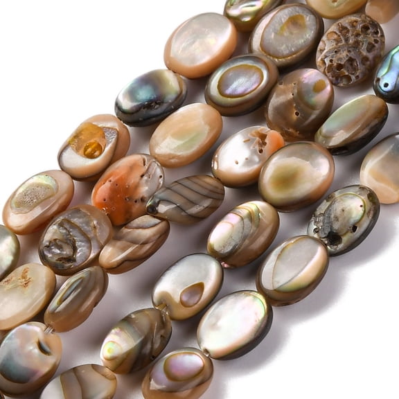 2 strand Natural Paua Shell Beads Strands Flat Oval Colorful 8~8.5x6~6.5x2.5~3.5mm Hole: 0.5mm 49pcs/strand 15.35''(39cm)