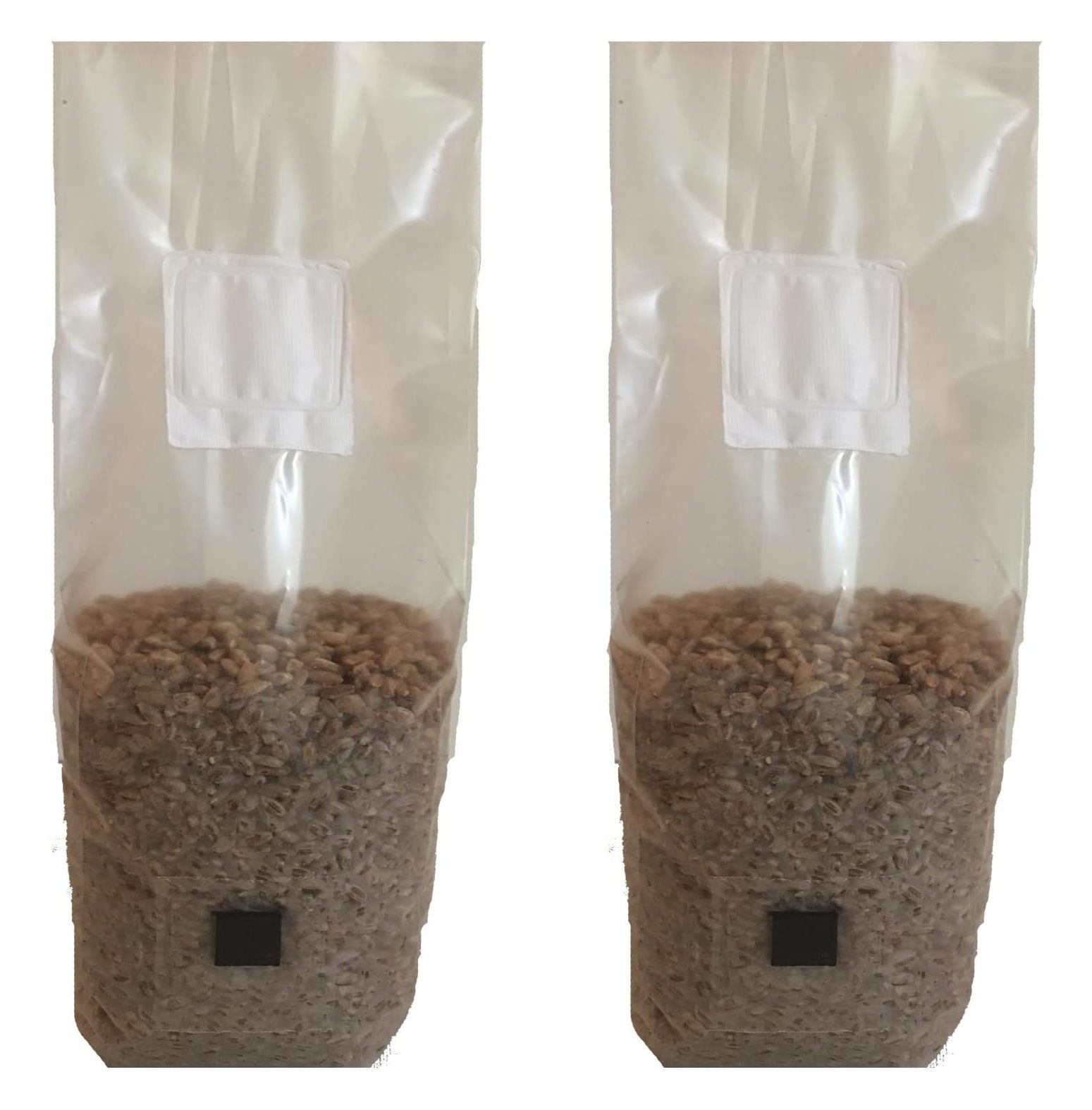 2 x 2 lb. Organic Rye Berry Mushroom Substrate Bags with Injection
