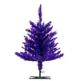 thumbnail image 1 of 2 x 20" Purple Fir DuraLit 50Purple, 1 of 2