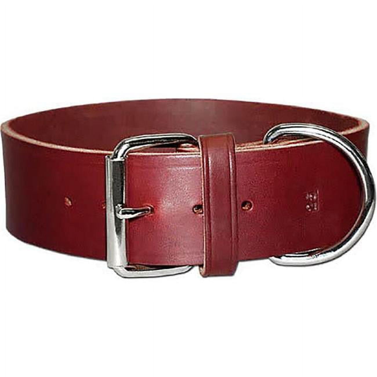 2 x 21 in. Latigo Leather 1 Ply Dog Collar, Burgundy