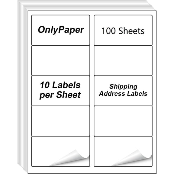 2" x 4" Shipping Labels - 100 Sheets 10 Up Self Adhesive Mailing Labels,1000 PCS Address for Laser & Inkjet Printers, Handwrite-Friendly