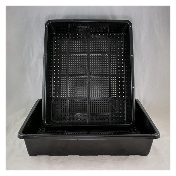 2 x Black Plastic Tray for Propagation, Forest/Group Planting 15"x 12"x 3"