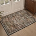 thumbnail image 1 of FEELHOME 2'x3' Area Rug Machine Washable Soft Vintage Distressed Non Slip Carpet for Living Room Bedroom Dining Room Brown, 1 of 6