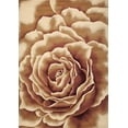 thumbnail image 1 of 2'x3' Ivory Machine Woven Hand Carved Oversized Floral Indoor Accent Rug, 1 of 4