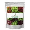 thumbnail image 1 of 20,000+ Lettuce Seeds, Heirloom Vegetable Seed ITL1&nbsp;for Planting Indoor Outdoor, 10 Varieties Fresh Lettuce Salad Seeds Garden Hydroponics Kit - Romaine, Iceberg, Boston, Bibb and More, Non-GMO, 1 of 3