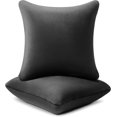 thumbnail image 1 of 20 ×20 Pillow Insert (Pack of 2) Memory Foam Throw Pillow Insert Sham Square for Decorative Cushion Bed Couch Sofa Without Deform After Longtime Use(Black), 1 of 4