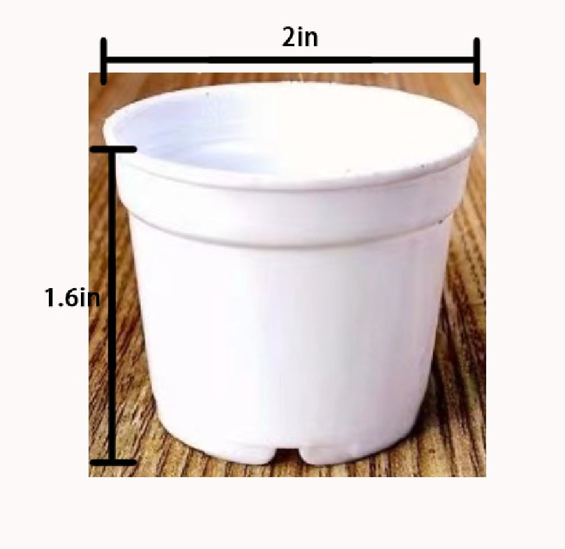 20,30,40 New 2 Inch Plastic Nursery Pots ~ Pots are 2-4 Inch Round at ...