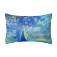 20" *30" Satin Pillowcase for Hair and Skin Peacock Similar to Silk